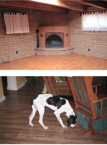 corner fireplace and picture of same spotty dog sniffing a rocking chair